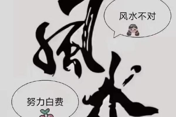 房子没人气风水好吗 房子没人气风水好吗