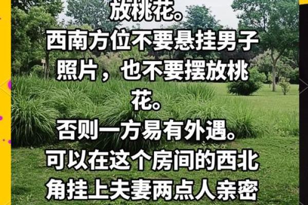 论感情风水,怎么做才能招桃花 论感情风水,怎么做才能招桃花