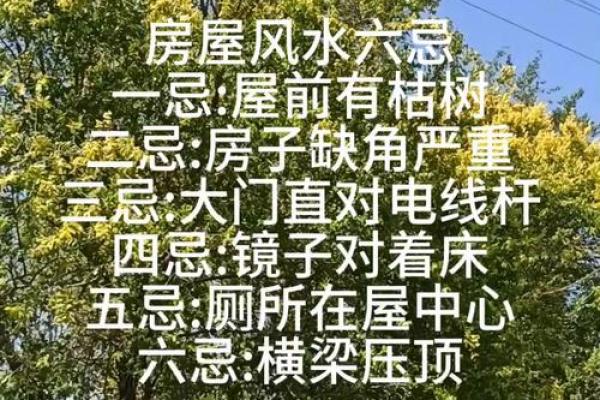 房子不住还用讲究风水吗 房子不住还用讲究风水吗
