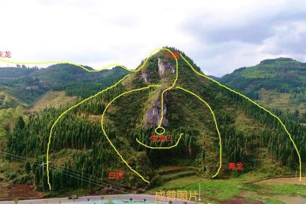 看墓地风水的方法 看墓地风水的方法