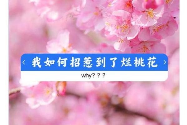 婚恋之防烂桃花的风水是怎样的 婚恋之防烂桃花的风水是怎样的