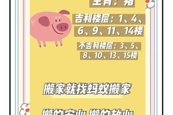 风水搬什么东西才算正式搬家包括什么物品 风水搬什么东西才算正式搬家包括什么物品