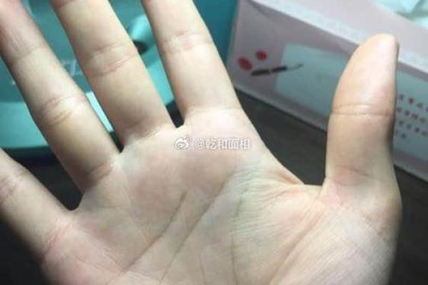 风水右手川字掌的女人命运怎么样? 风水右手川字掌的女人命运怎么样?