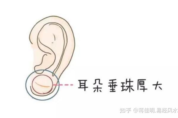 耳朵风水里代表什么 耳朵风水里代表什么