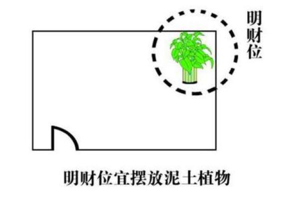 店铺风水摆设 放这几个就能够招来财气 店铺风水摆设 放这几个就能够招来财气