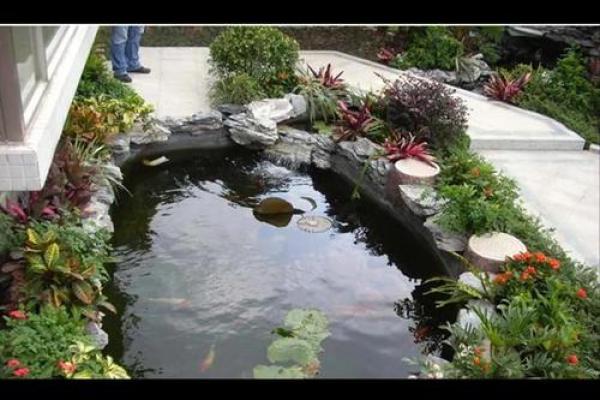 房子后边有鱼塘好不好风水 房子后边有鱼塘好不好风水