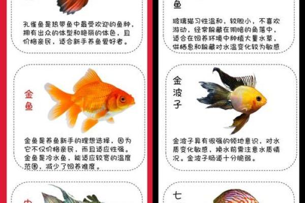 养鱼喜忌:家庭养鱼的风水讲究 养鱼喜忌:家庭养鱼的风水讲究