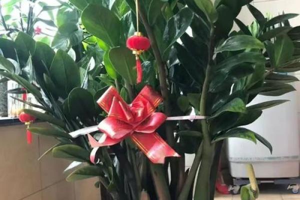 房子各个方位栽树好吗风水 房子各个方位栽树好吗风水