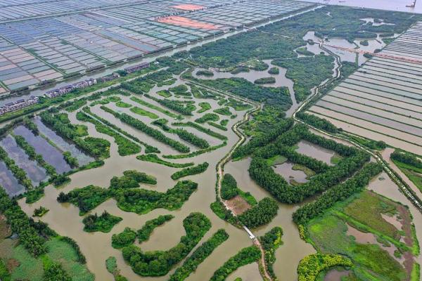 广东省广州南沙风水