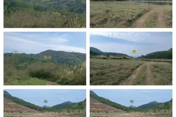 祖坟风水禁忌有哪些