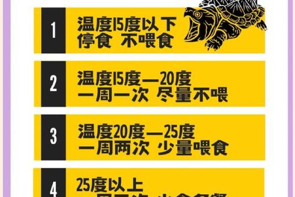 家里养乌龟需注意哪些风水问题