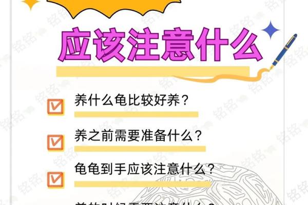 家里养乌龟需注意哪些风水问题