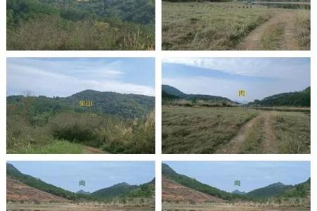 祖坟风水禁忌有哪些