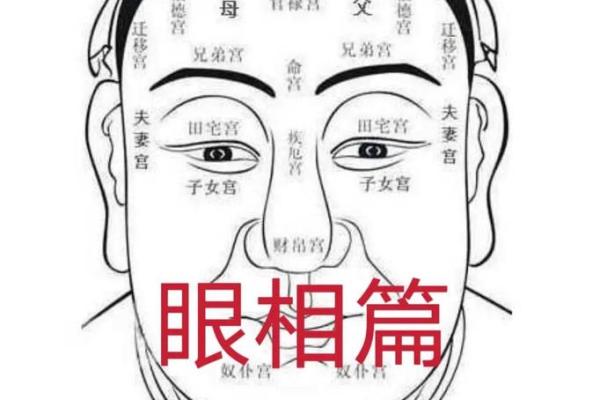通过你的脸和面相就能显像风水