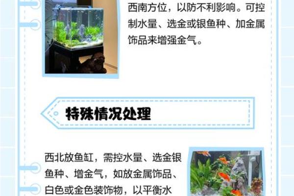 鱼缸的摆放位置与风水的关系
