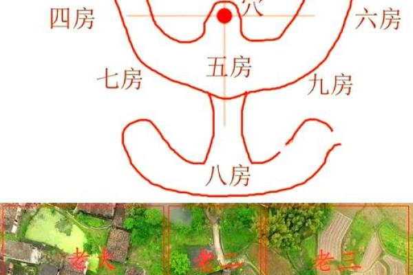 房子属于离风水