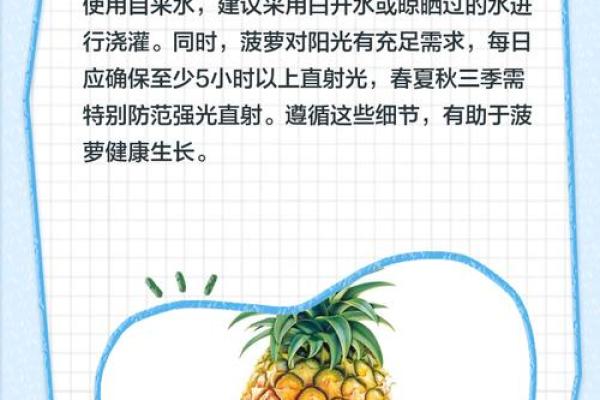 家居风水如何在家里种植菠萝为家庭带来好运 家居风水如何在家里种植菠萝为家庭带来好运