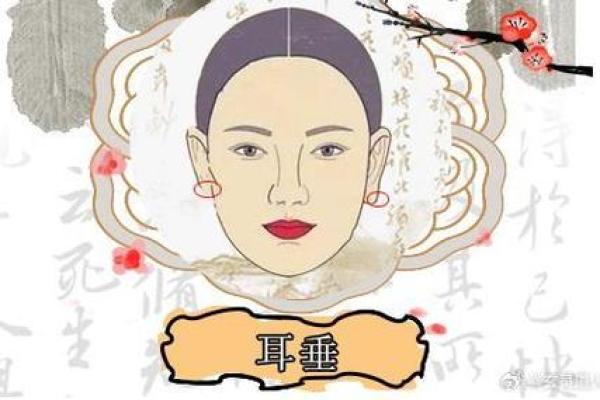 女孩十种福气耳朵图解面相风水