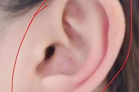 女孩十种福气耳朵图解面相风水