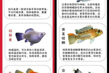 风水颜色_养鱼禁忌的颜色
