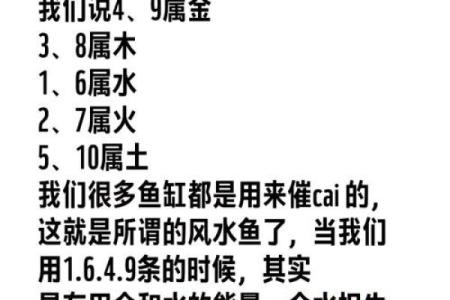 风水金命的人可以养鱼吗可以增加财富吗