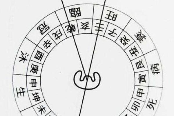 丙山壬向兼午子风水 丙山壬向兼午子风水