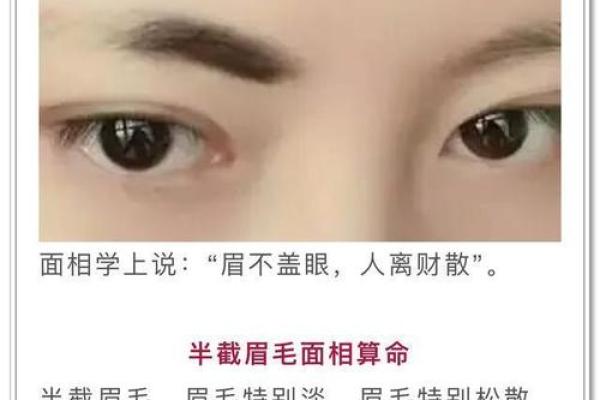 面相风水女人十大富贵眉毛你有吗 面相风水女人十大富贵眉毛你有吗