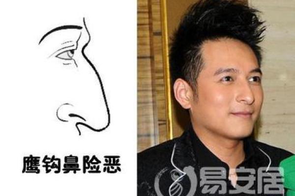 面相风水鹰钩鼻女人的好处和缺点 面相风水鹰钩鼻女人的好处和缺点