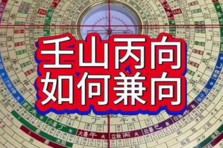 丙山壬向兼午子风水