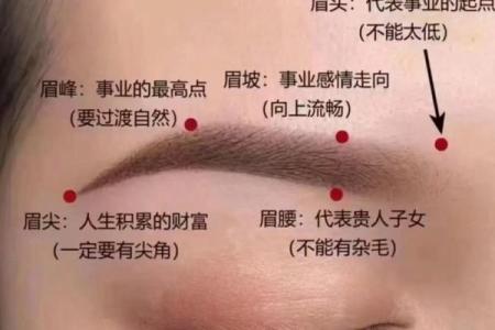 面相风水女人十大富贵眉毛你有吗