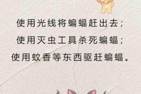 动物风水之家里飞进蝙蝠的解说