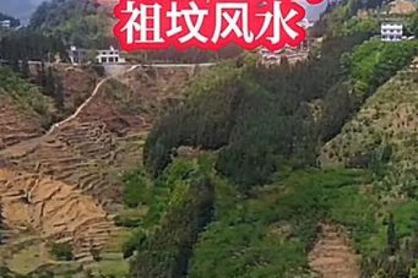 祖坟的风水对后代影响有多大 祖坟的风水对后代影响有多大