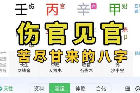 风水女命伤官见官会发生什么事