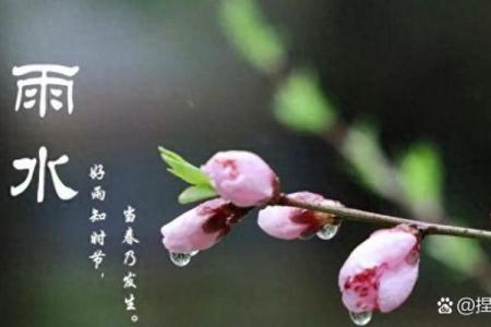 明天雨水，要谨防节气风水禁忌