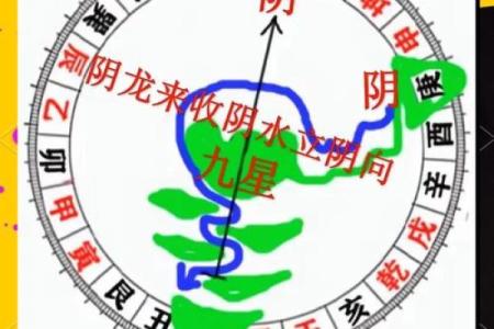 事关后代，墓地风水龙穴砂水向
