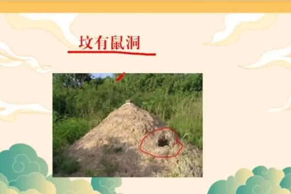 坟上有洞风水 坟上有洞风水