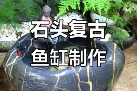 石缸养鱼与风水