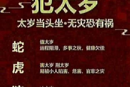 风水资讯；乙未羊年适合结婚吗
