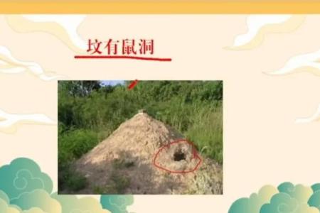 坟上有洞风水