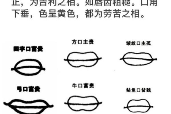 风水面相嘴唇薄的女人是不是很小气 风水面相嘴唇薄的女人是不是很小气