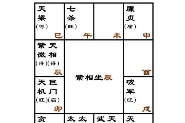 紫微斗数诸星落诸宫之,贪狼星:阳木疾厄宫详解 紫微斗数诸星落诸宫之,贪狼星:阳木疾厄宫详解