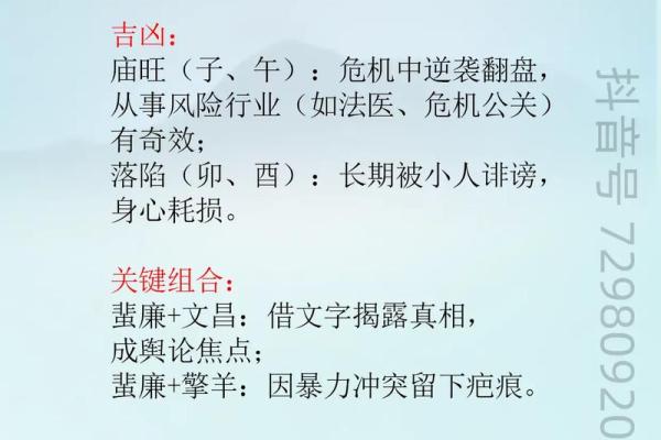 紫薇斗数博士入财帛 紫薇斗数博士入财帛