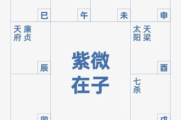 紫薇斗数各宫箭头 紫薇斗数各宫箭头