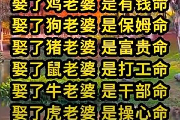 八字术语 八字术语