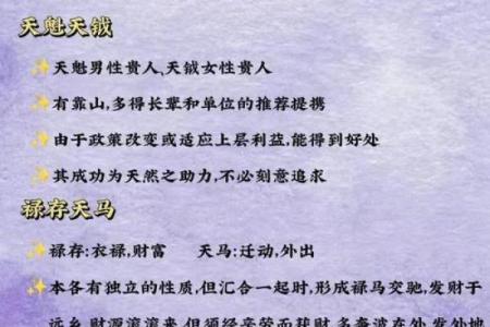 紫薇斗数中的会合什么意思的简单介绍