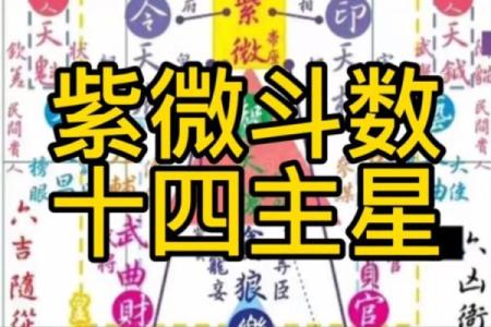 紫薇斗数安星码