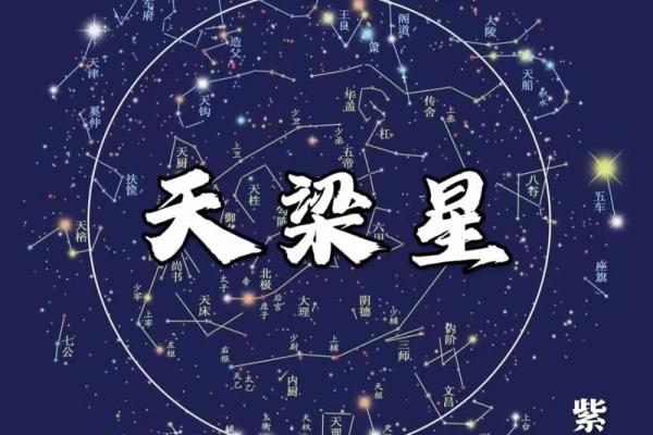 什么是紫微斗数？
