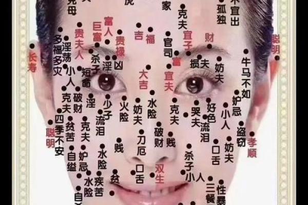 风水面相女人鼻头大到底好不好 风水面相女人鼻头大到底好不好