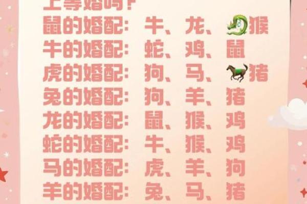 2005年属什么生肖配对最好,2005年属鸡的属相婚配表 2005年属什么生肖配对最好,2005年属鸡的属相婚配表