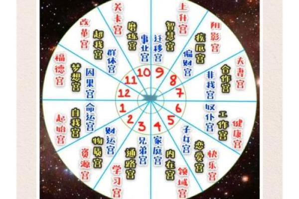 紫微斗数之人事十二宫的其他表意 紫微斗数之人事十二宫的其他表意
